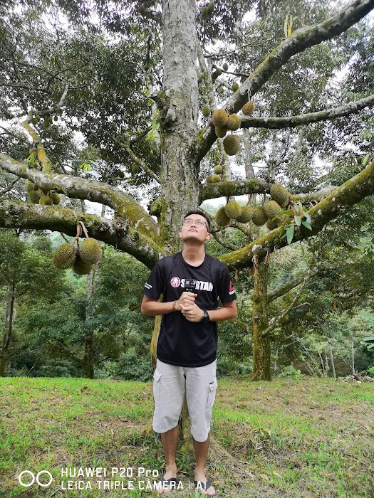 Rakuen Orchard Picture 8