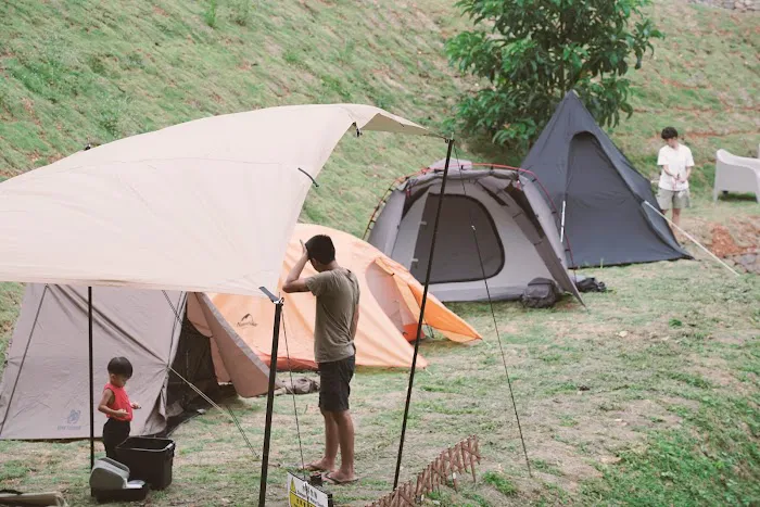 Ethos Forest Picture 5