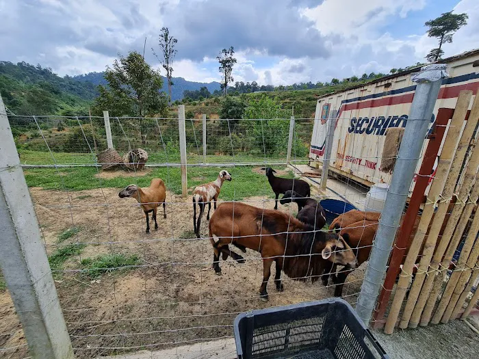3 Stooges Valley Home stay - By private invitation Picture 2