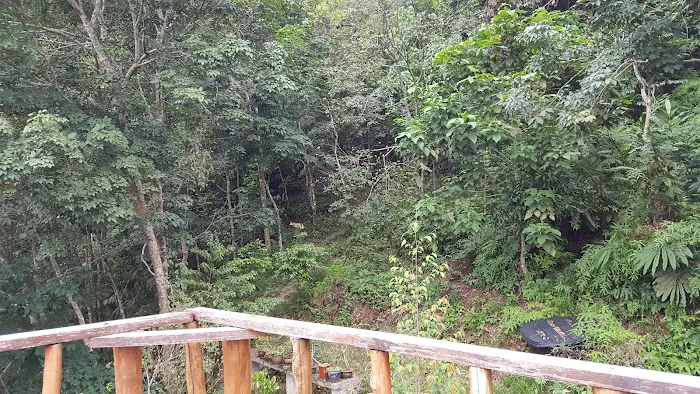 Bricolage Farm & Homestay Picture 5
