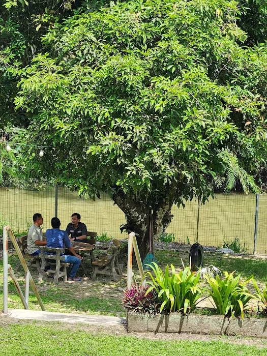 Sofia Adila Homestay Picture 10