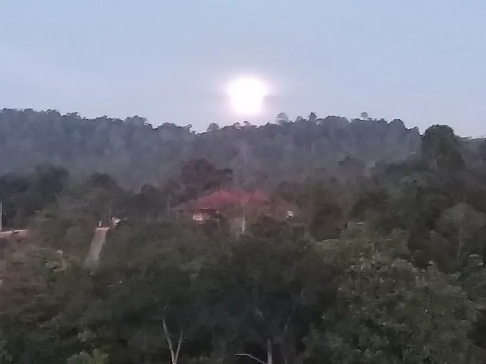 Laman Puncak Jelutong Picture 7