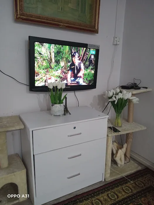 Homestay Widayu Kg. Delek Klang Picture 6