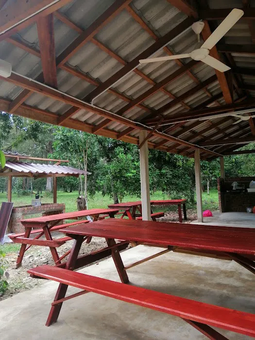 Bayu Sekebun Pohon Campsite Picture 9