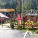 D' Pinggiran Gunung Tebu Resort