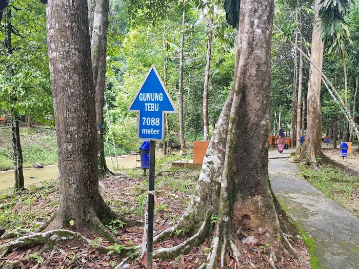D' Pinggiran Gunung Tebu Resort Picture 5