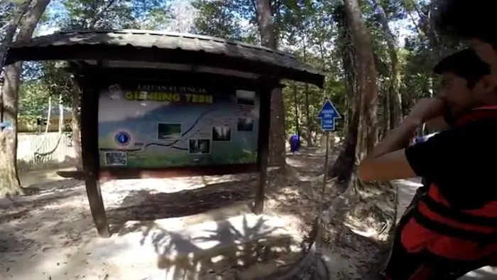 D' Pinggiran Gunung Tebu Resort Picture 6