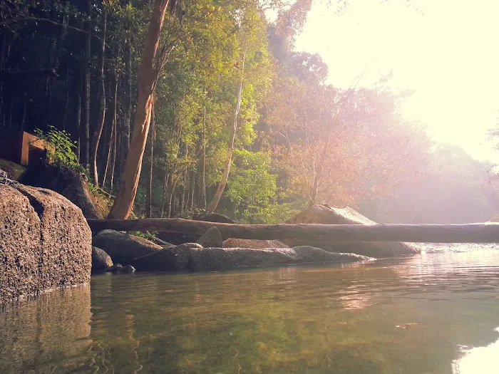 D' Pinggiran Gunung Tebu Resort Picture 9