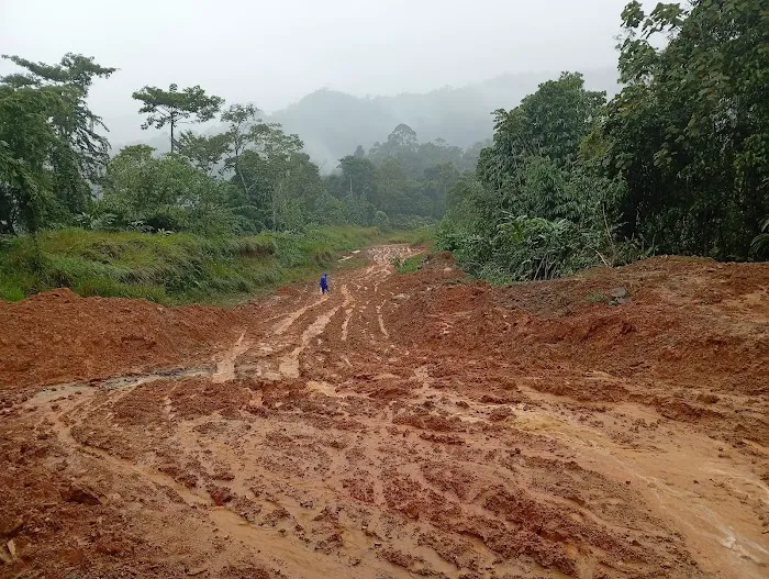 Kg Selaor Picture 3