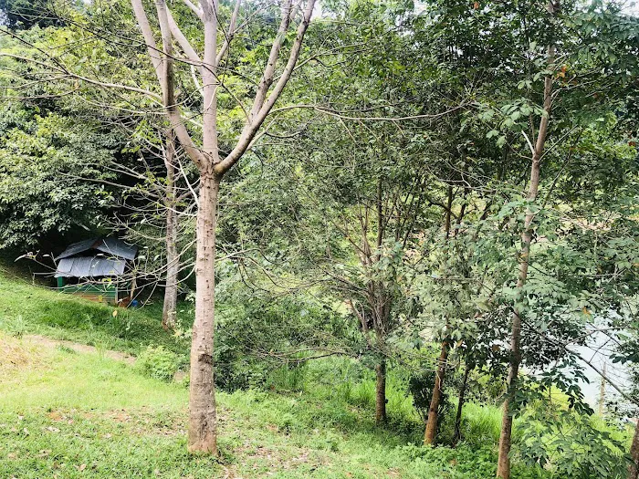 Kampung Chu Wei Picture 3