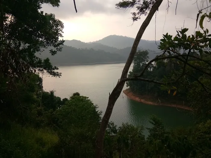 Belum Rainforest Pavillion Picture 6