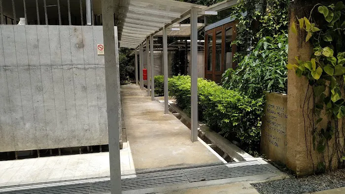 Belum Rainforest Pavillion Picture 7