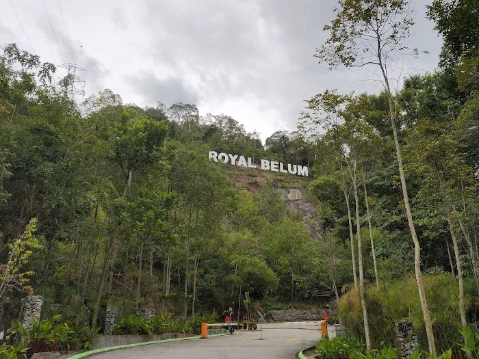 Belum Rainforest Resort Picture 7