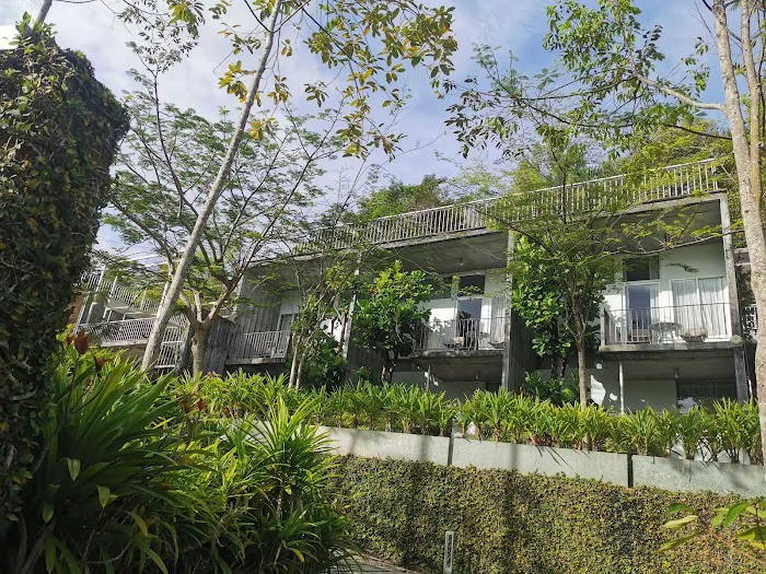 Belum Rainforest Resort Picture 6