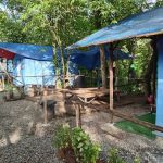 Teney Glamping