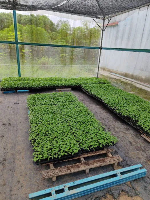 Slim Village Leisure Farm Picture 9