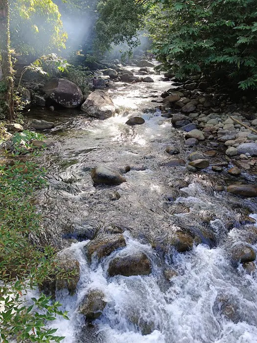 Sungai Bil Cool Spring Picture 1