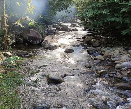 Sungai Bil Cool Spring