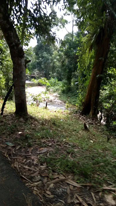 Panglima Chalet Kampung Sungai Bil Picture 6