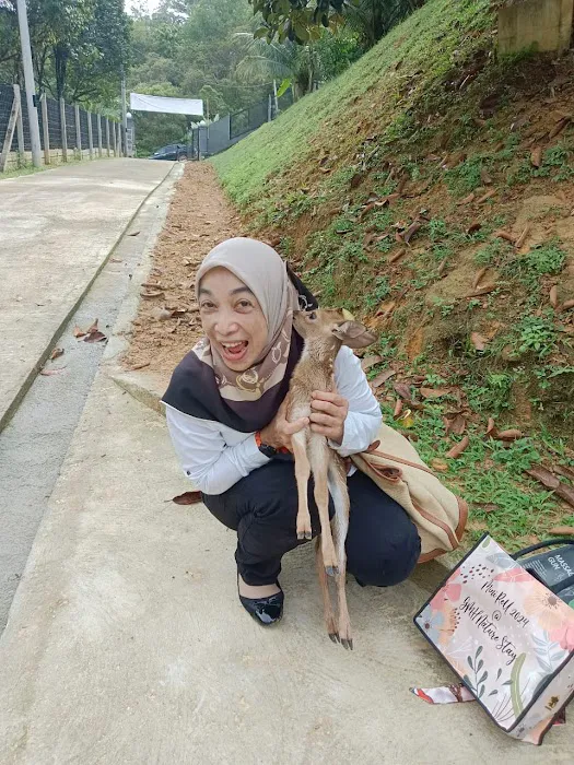 GMH Nature Stay Picture 6