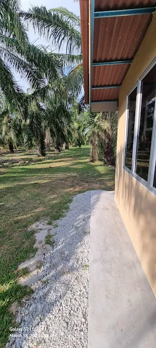 R & R Homestay Picture 7