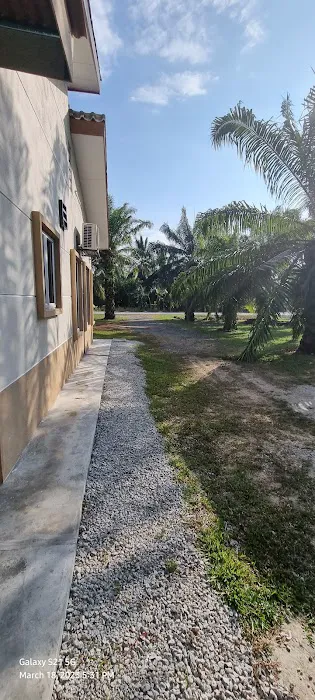 R & R Homestay Picture 6