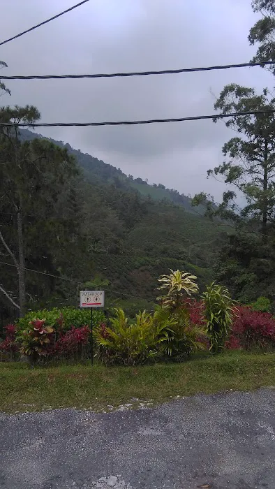 Taman Wira Perdana Picture 10
