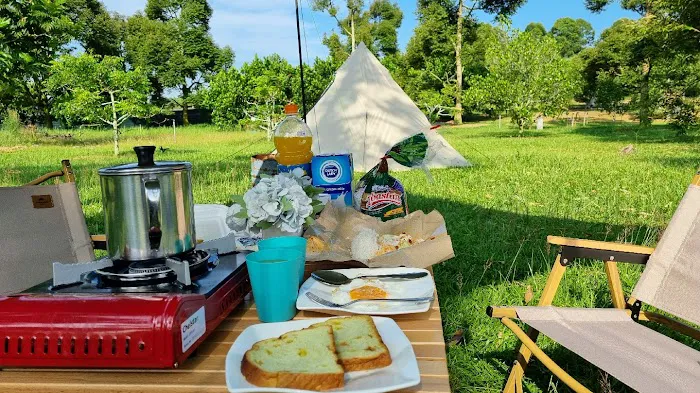 The Somer Campsite Picture 3