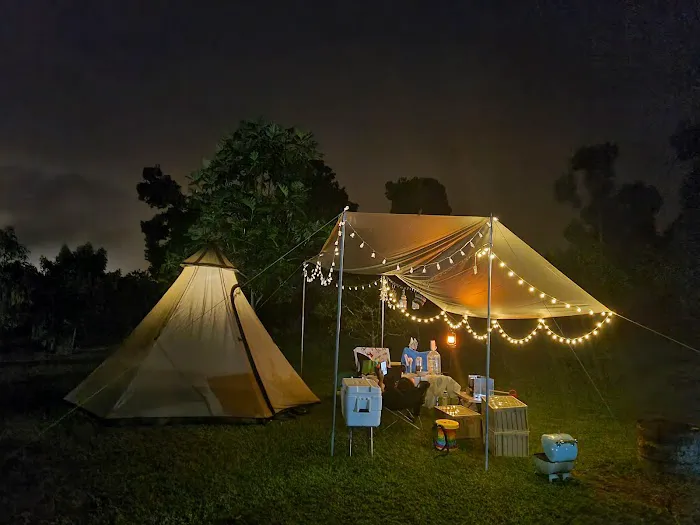 The Somer Campsite Picture 8