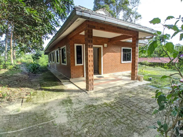 Kg Sempa Homestay Picture 3