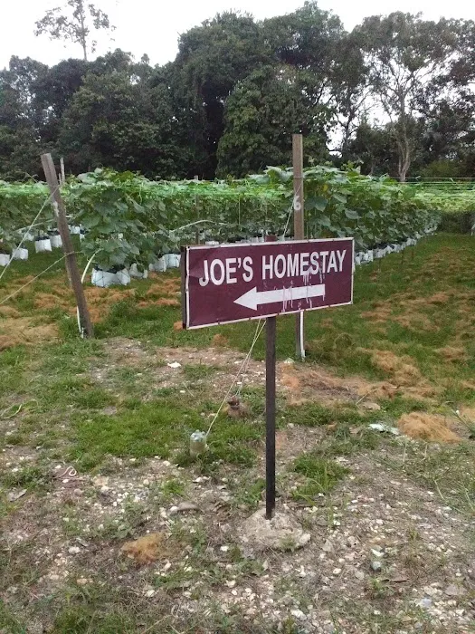 Joe's Homestay Raub Picture 9