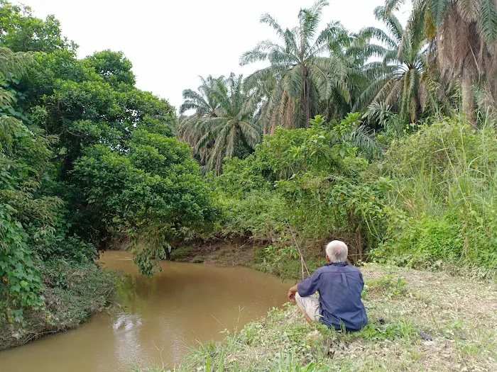 Homestay Safiah Sungai Pasu Picture 6