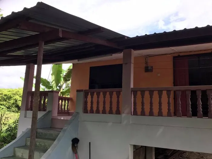 Grandma Homestay Temin Picture 5