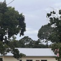 D'Bella Homestay ico