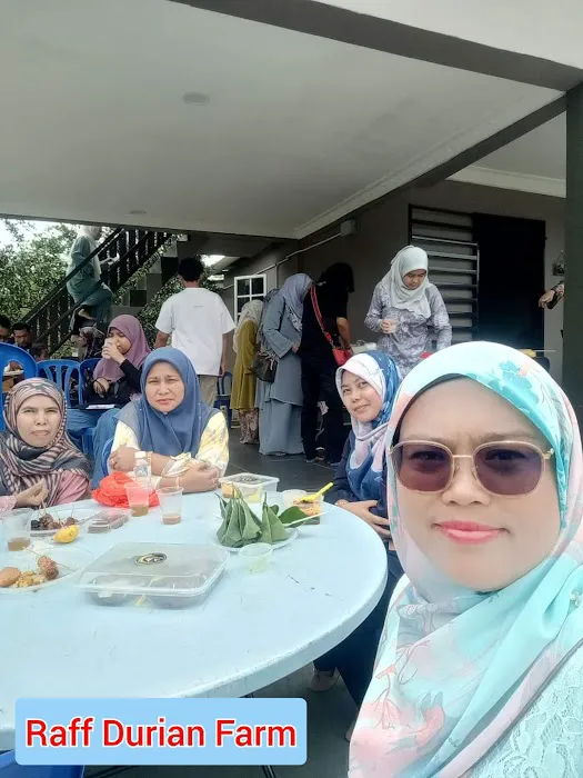 Raff Durian Farm Picture 6