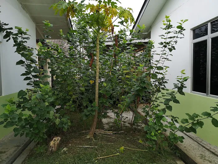 Homestay 3488 Picture 3