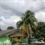 Homestay Hijau Melayu Subang Lot 3538