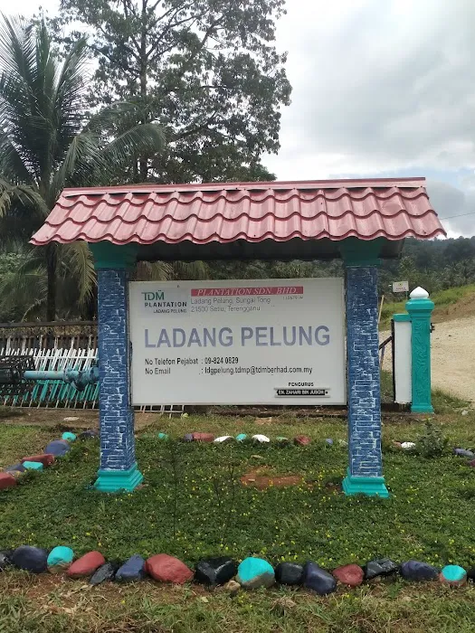 Kompleks Pentadbiran & Perumahan Ladang Pelung Picture 4