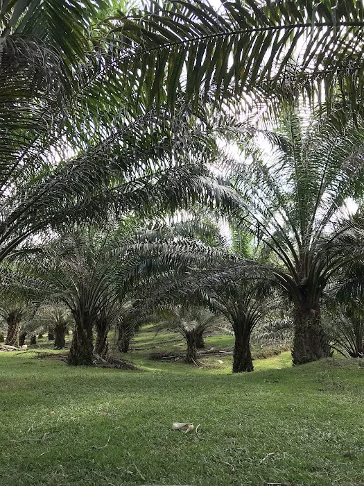 DF Agrofarm Resort Picture 5