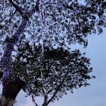 The Park @ Bukit Serdang