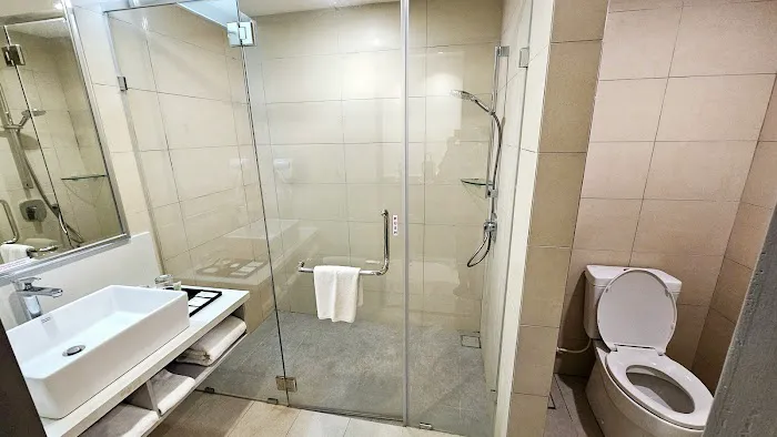 Arena Premier Hotel Picture 4