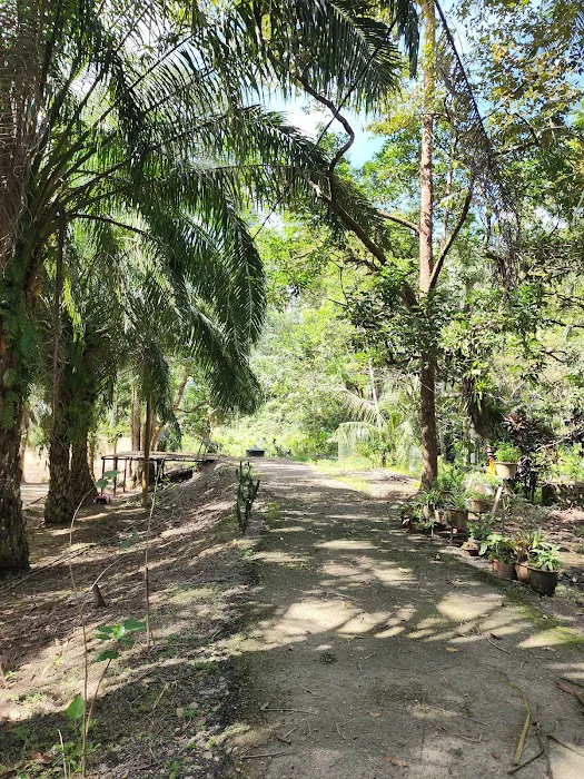 Perong Campsite Picture 6