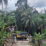 Wak Panott