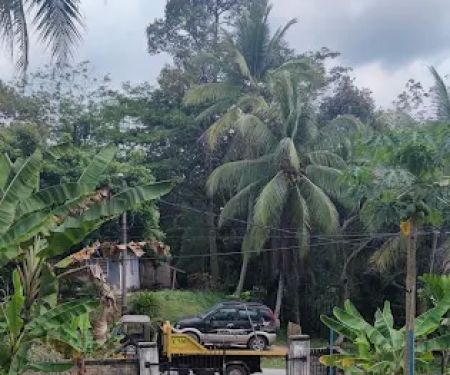 Wak Panott