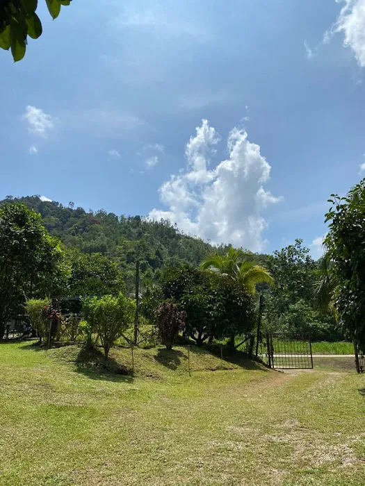 HOMESTAY SUNGAI LEMBING Picture 1