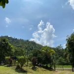 HOMESTAY SUNGAI LEMBING