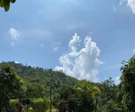 HOMESTAY SUNGAI LEMBING
