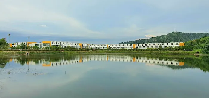Grove, Lake Fields Picture 1