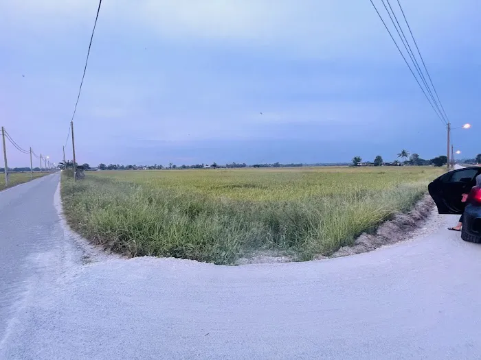 Sbs Beauty Homestay Picture 1