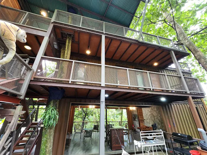 Templer Park Rainforest Retreat Picture 2